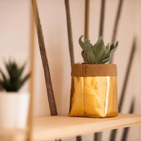 Theatre 9 - Hyper Centre T2 Face Musee, Monuments Et Restaurants * Ντιζόν