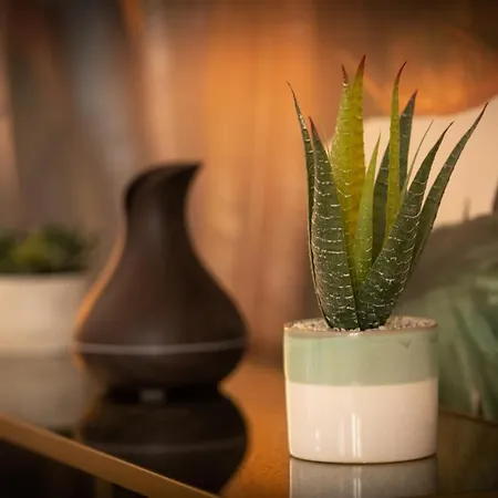 Theatre 9 - Hyper Centre T2 Face Musee, Monuments Et Restaurants