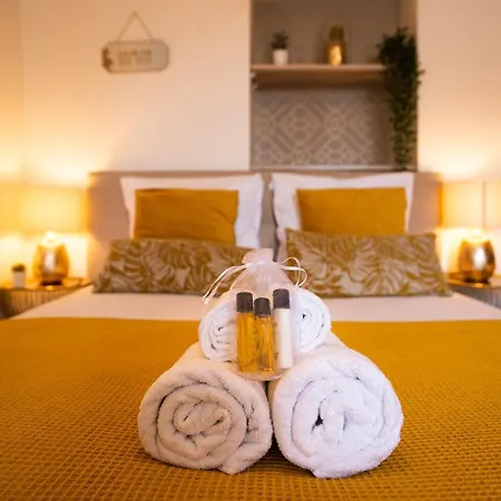 Theatre 9 - Hyper Centre T2 Face Musee, Monuments Et Restaurants * Dijon