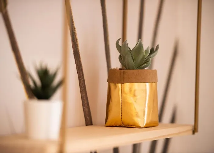 Theatre 9 - Hyper Centre T2 Face Musee, Monuments Et Restaurants * Dijon