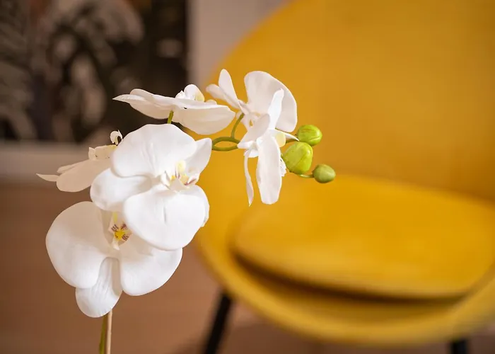 Daire Theatre 9 - Hyper Centre T2 Face Musee, Monuments Et Restaurants *