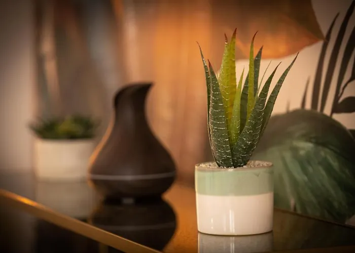 Theatre 9 - Hyper Centre T2 Face Musee, Monuments Et Restaurants