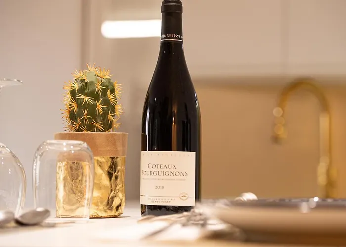 Daire Theatre 9 - Hyper Centre T2 Face Musee, Monuments Et Restaurants