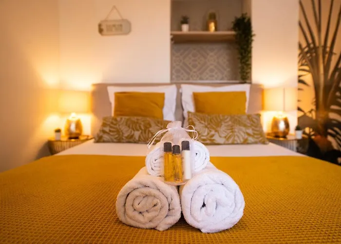 Theatre 9 - Hyper Centre T2 Face Musee, Monuments Et Restaurants * Dijon